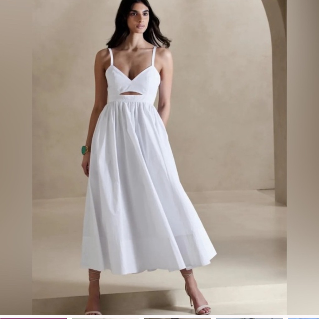 Brand New Banana Republic Dress